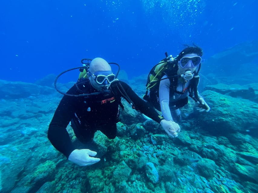 Diving Course for Beginners in Turtle Area Tenerife - Pricing and Inclusions