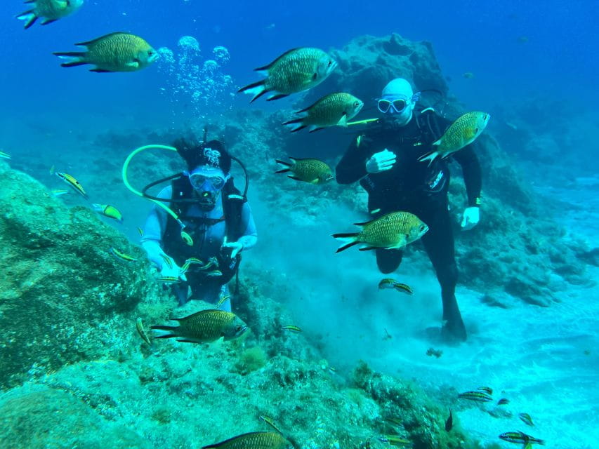 Diving Course for Beginners in Turtle Area Tenerife - Underwater Highlights