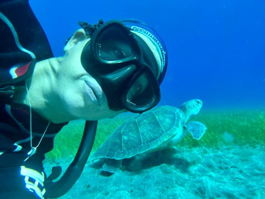 Diving Course for Beginners in Turtle Area Tenerife - Safety Considerations
