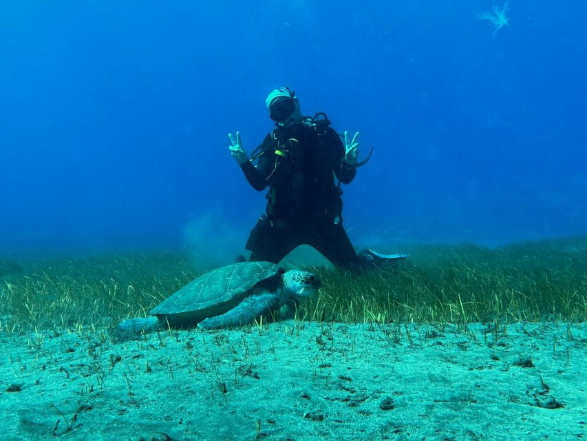 Diving Course for Beginners in Turtle Area Tenerife - Instructor Qualifications