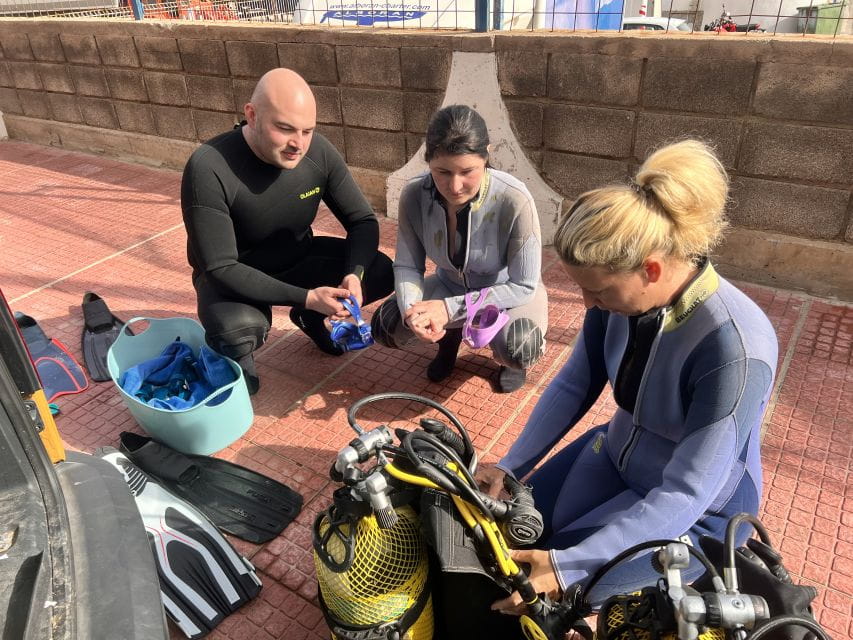 Diving Course for Beginners in Turtle Area Tenerife - Language Support