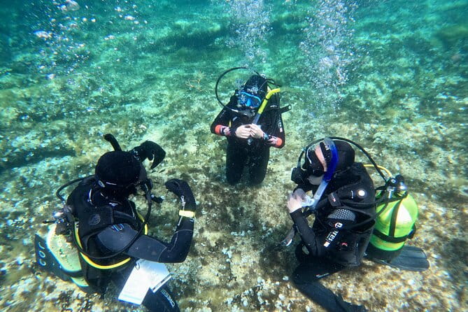 Diving experience in Malta - How the Experience Works