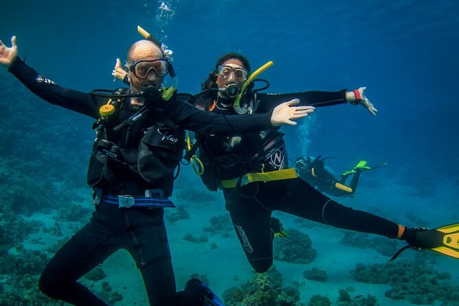 Diving Full Day 2 Stops Boat Trip For Beginners With Lunch and Transfer–Hurghada - Transportation and Pickup Services