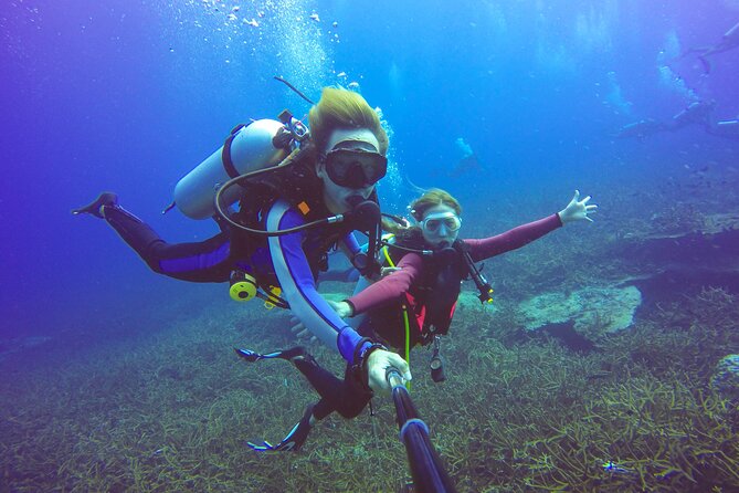 Diving Full Day 2 Stops Boat Trip For Beginners With Lunch and Transfer–Hurghada - Included Gear and Amenities