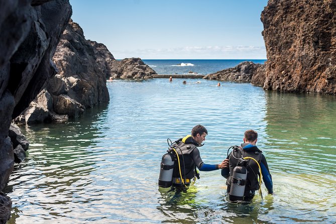 Diving in the Madeira Aquarium - Local Fish Species Spotting