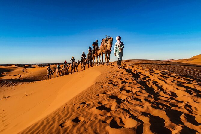 Doha Sunrise Desert Safari Tour| Dune Bashing| Inland Sea Visit| Camel Riding - Dune Bashing Experience