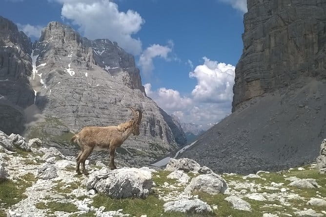 Dolomites Hiking tour - The Itinerary in Detail