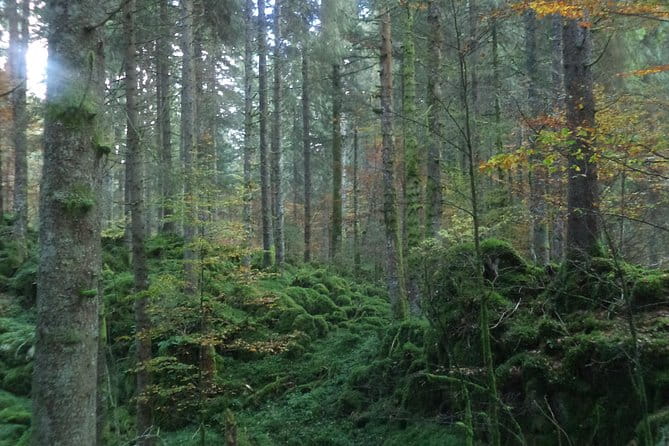 Dolomites Hiking tour - Who Will Love This Tour?