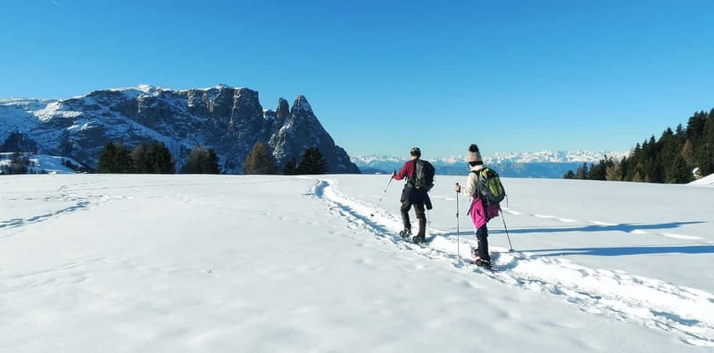 Dolomites of Bolzano: Winter Hiking & Sledding Experience - Final Thoughts