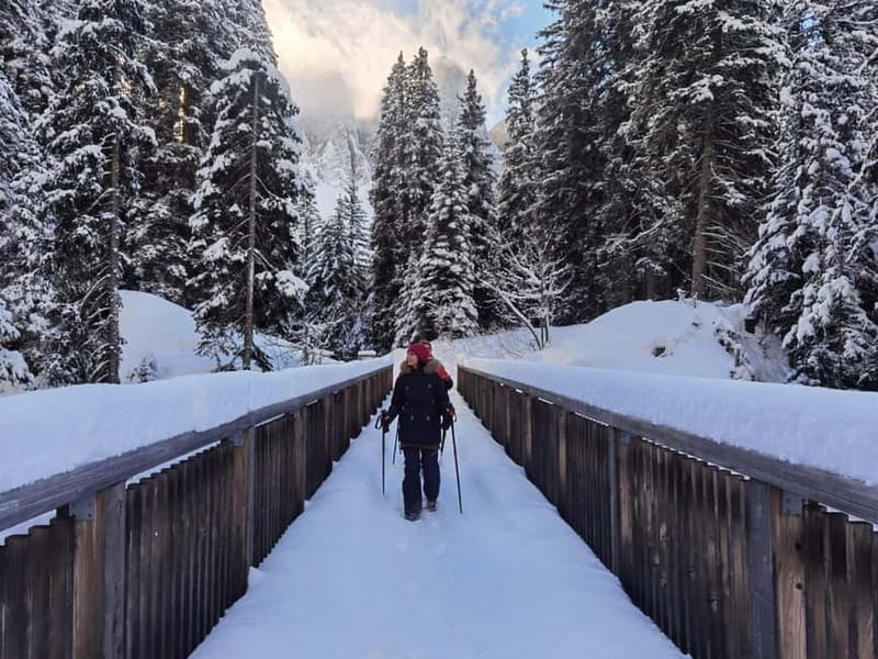 Dolomites of Bolzano: Winter Hiking & Sledding Experience - FAQ