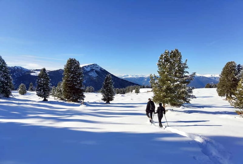Dolomites of Cortina: Winter Hiking & Sledding Experience - The Sledding Fun: A Pace-Perfect Winter Thrill