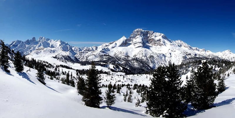 Dolomites of Cortina: Winter Hiking & Sledding Experience - Transportation, Logistics, and Overall Value