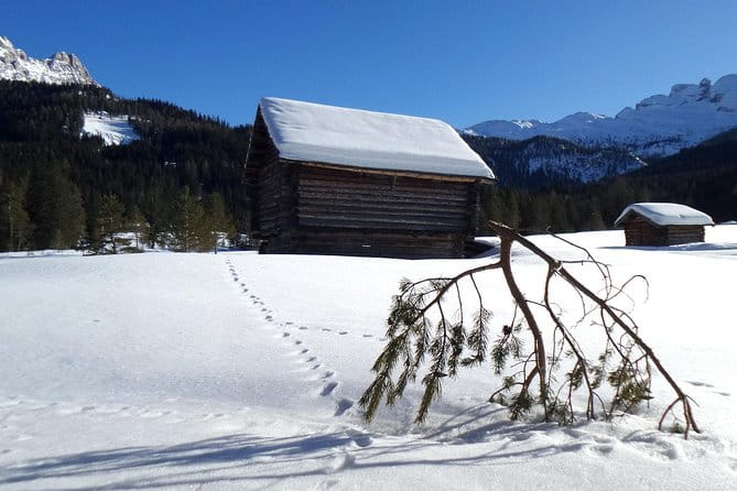 Dolomites of Cortina Winter Hiking & Sledding Experience - Who Will Love This Tour?