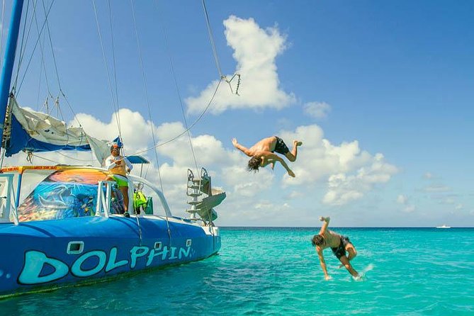 Dolphin Catamaran Snorkel and Sail With Open Bar - Included Activities