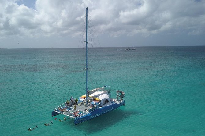 Dolphin Catamaran Snorkel and Sail With Open Bar - Accessibility and Transportation