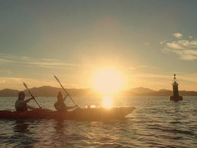 Dolphin Kayak Safari at Sunset at Golfo Aranci - Starting Point: Easy Access at Go Sea Kayak