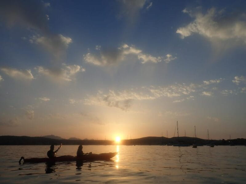 Dolphin Kayak Safari at Sunset at Golfo Aranci - Sunset Paddle & Return