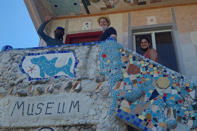 Dolphin Museum and Wild Dolphins Land and Sea Adventure - Tour Overview