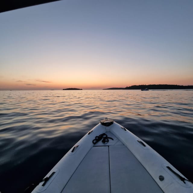 Dolphin private sunset tour Rovinj - FAQ