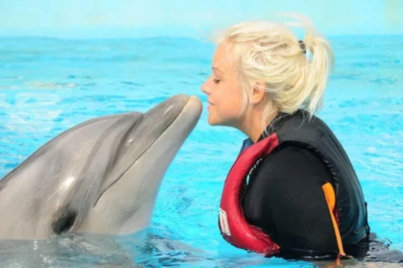 Dolphin Show Tour with Transfer from Alanya & Side - Key Points / Takeaways