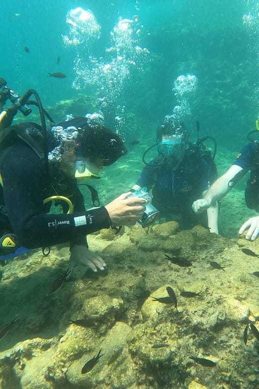 Dolphin Show Tour with Transfer from Alanya & Side - Deep Dive into the Experience