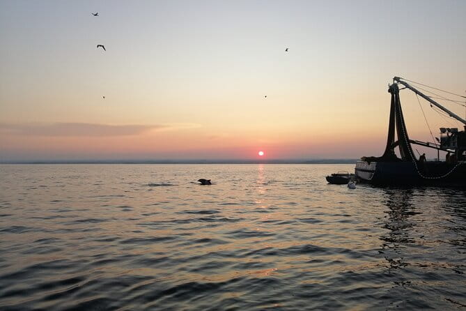 Dolphin Sunrise Adventure with Speedboat - Suitability and Who Will Love This Tour