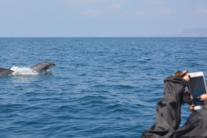 Dolphin Watching and Boat Tour in Sesimbra - Exploring the Marine Area