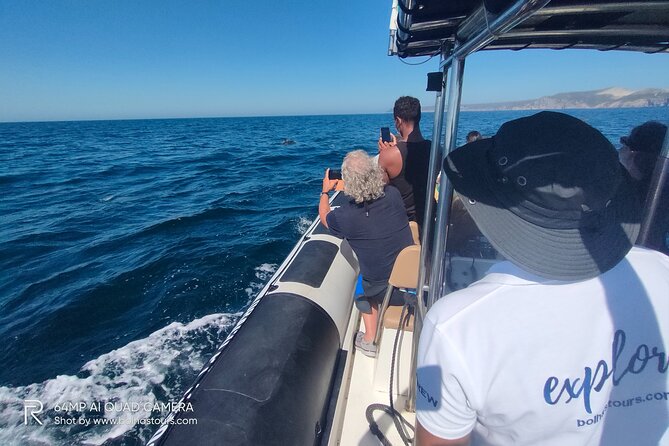 Dolphin Watching and Boat Tour in Sesimbra - Snorkeling and Swimming