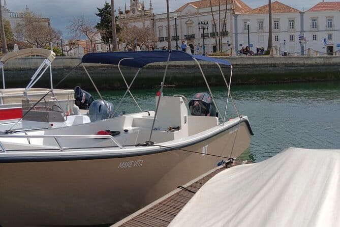 Dolphin watching and wildlife from Faro - FAQ