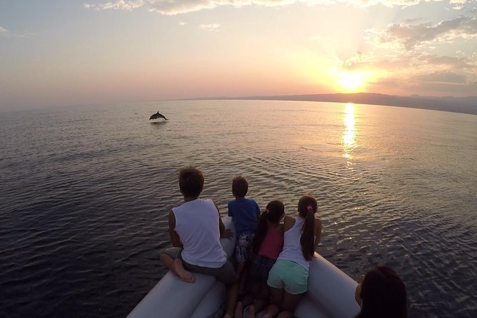 Dolphin Watching & Conservation - Dolphins in the Gulf of Catania - Meeting and Pickup