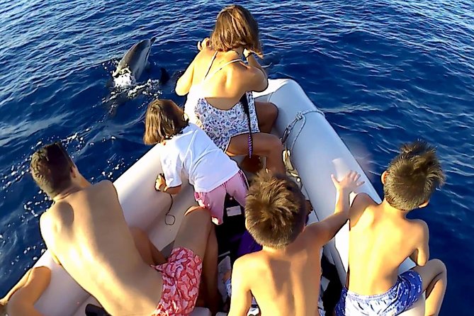 Dolphin Watching & Conservation - Dolphins in the Gulf of Catania - Sustainable Eco-Friendly Practices