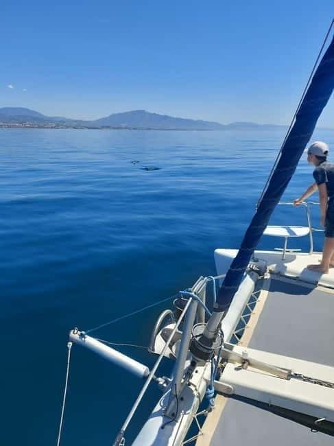 Dolphin watching in Estepona - Price and Logistics: Good Value for a Memorable Outing
