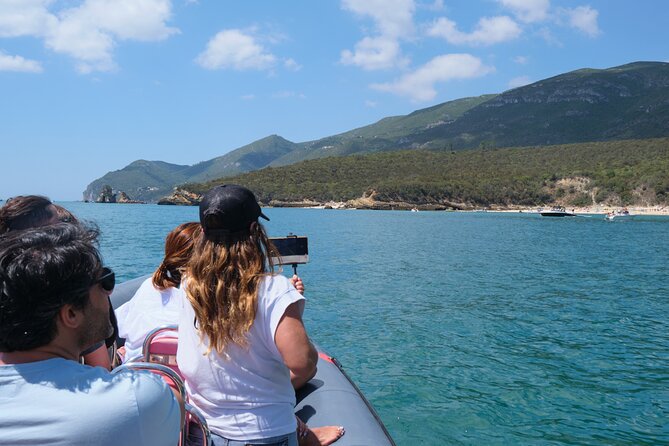 Dolphin Watching in Setúbal - Pricing and Availability