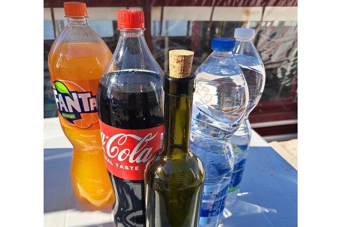 Dolphin Watching in the Brijuni National Park From Pula - Meeting and Pickup Details