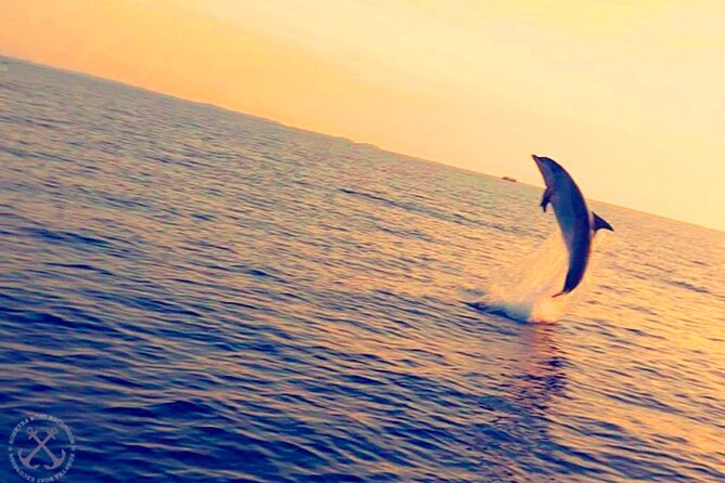 Dolphin Watching in the Brijuni National Park From Pula - Suitability for Families