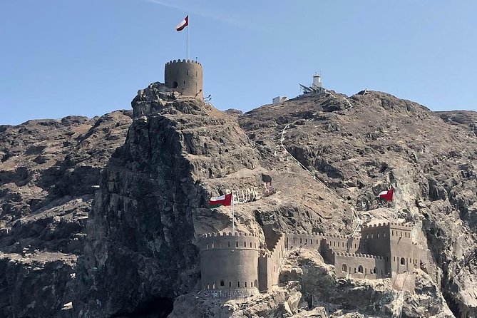 Dolphin Watching & Snorkeling - Tour Reviews