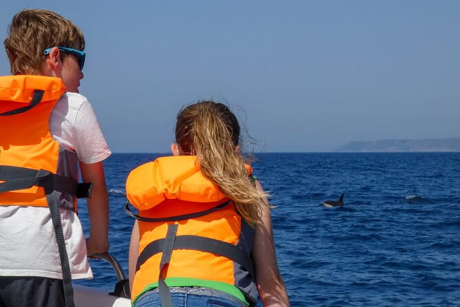 Dolphin Watching with Biologist in Arrábida Natural Park - FAQ