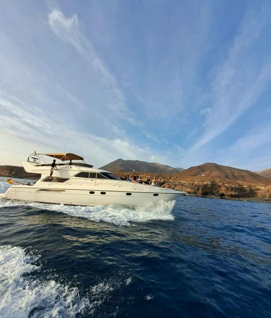 Dolphin & Whale Watching With Luxury Yacht - Pickup and Meeting Point