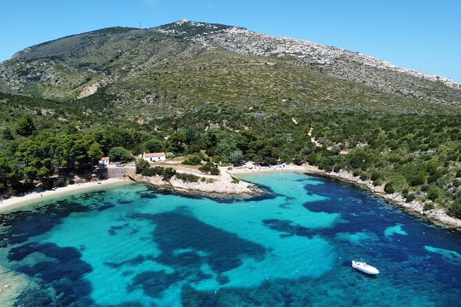 Dolphins Circus tour in Small group - Key Points / Takeaways