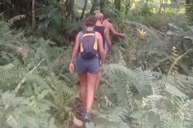 .Dominica Full Day Tour -6 Waterfalls in 1 Day and Rainforest - Guided Rainforest Experience