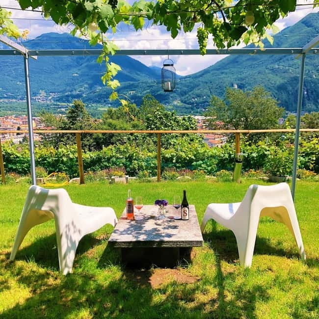 Domodossola: Savor Wines & Local Treats in a Scenic Vineyard - Exploring the Vineyard and Scenic Views