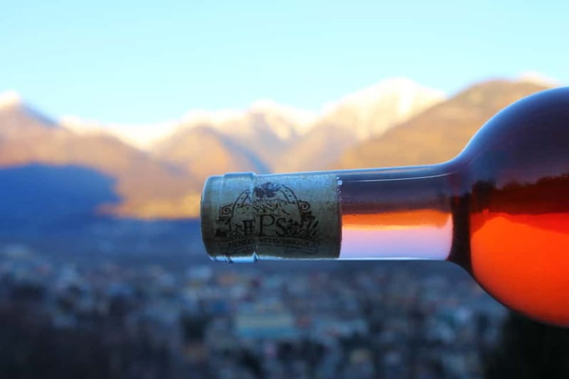 Domodossola: Savor Wines & Local Treats in a Scenic Vineyard - Practical Details: Logistics, Duration, and Cost