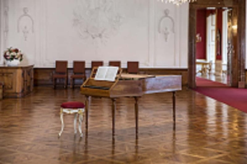 DomQuartier Salzburg: Date with Mozart! Afternoon concerts in the Residenz - The Historic Venue: Salzburg Residenz