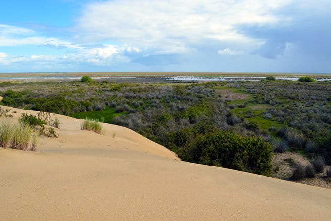 Doñana 4x4 and El Rocío Tour - Who Will Love This Tour?