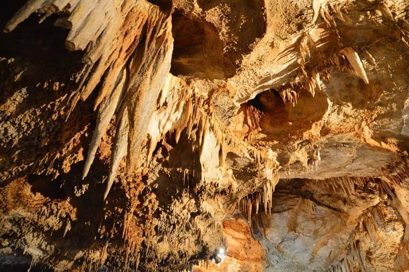 Donkey Farm and Lipa Cave Tour; Cave Crawling Donkey Calling - FAQ