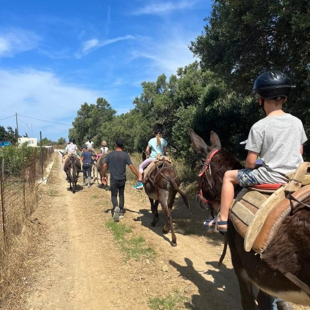 Donkey Riding - Coastline Ride - FAQs