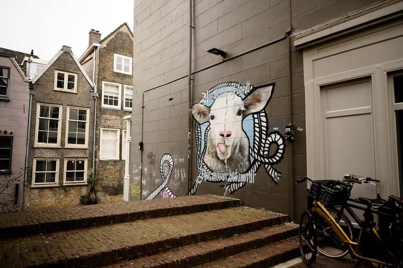 Dordrecht: Street Art Tour - Discovering Dordrecht’s Artistic Secrets