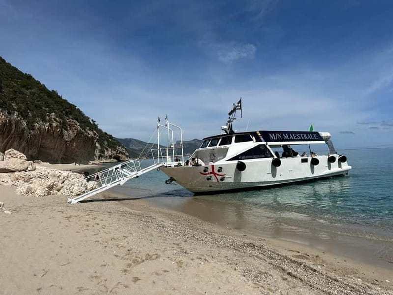 Dorgali: Cala Luna Boat Trip - Who Will Love This Trip?