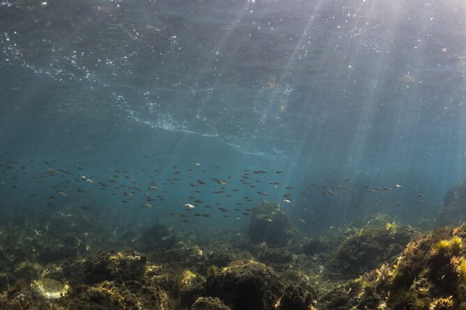 Double Discover Scuba Diving - Additional Information