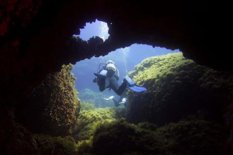 Double dive in Menorca: Discover Menorca's Marine Reserve - Key points / Takeaways